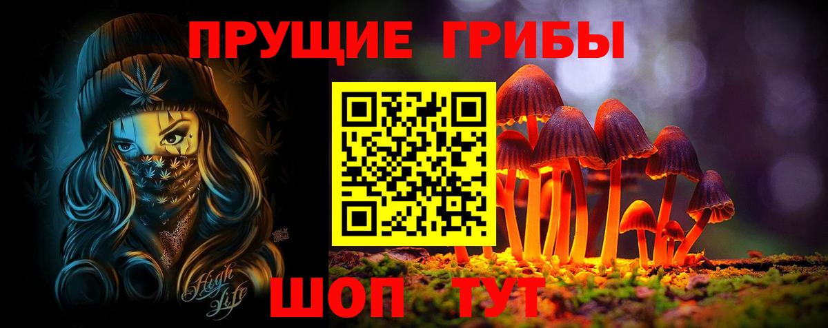 Галлюциногенные грибы ЛСД  Вход с VPN  Кувандык 