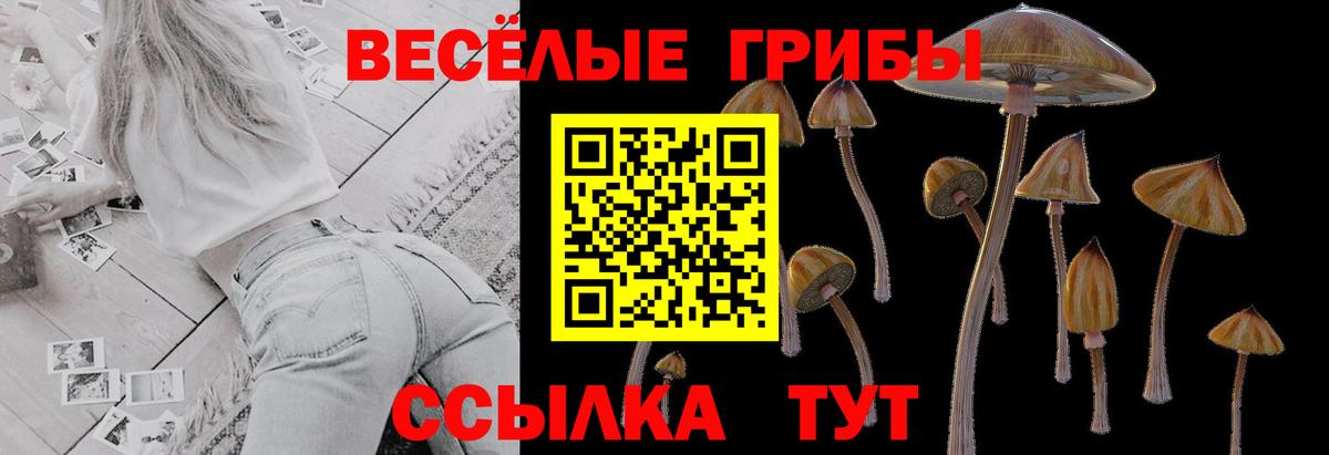 Псилоцибиновые грибы GOLDEN TEACHER Кувандык