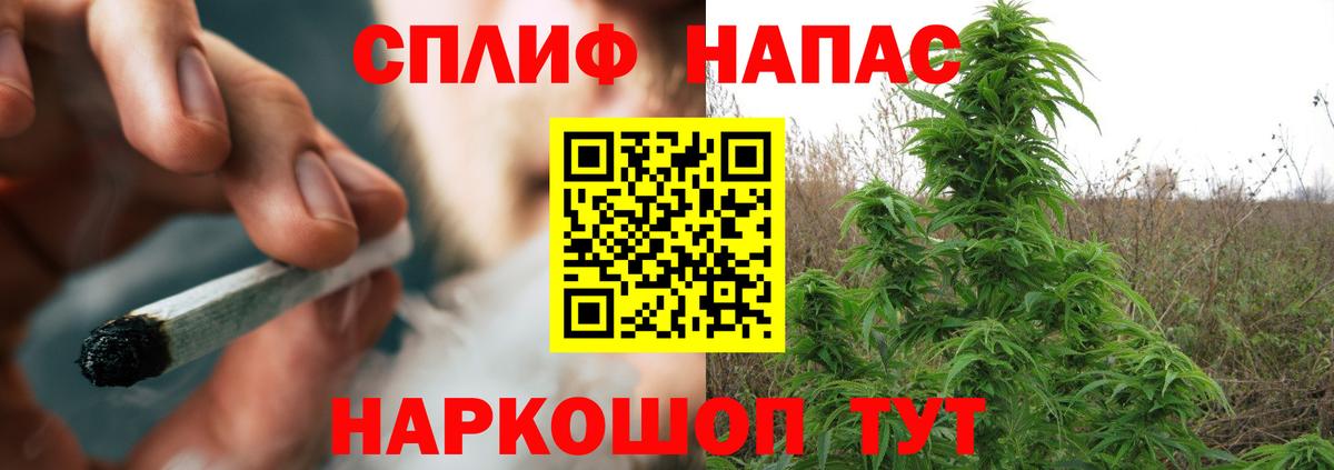 Каннабис SATIVA & INDICA Кувандык